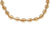 Accesorios Fetiche Suances | Collar Cowrie Dorado