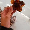 Accesorios Fetiche Suances | Pinza Del Pelo Margarita Caramelo